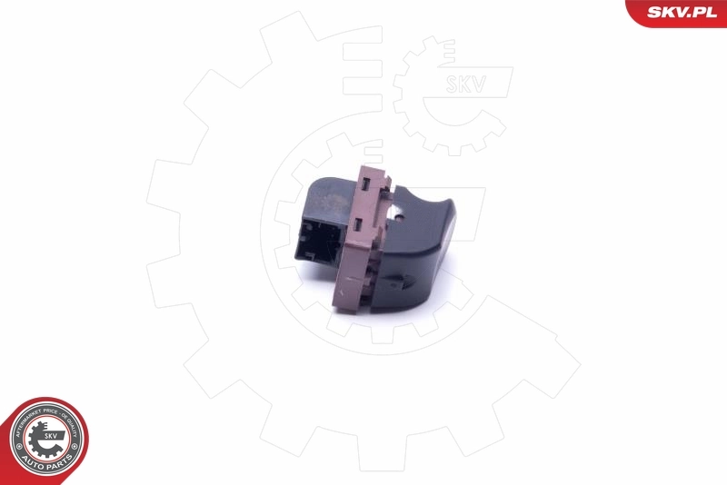 Switch, tailgate release 16SKV255