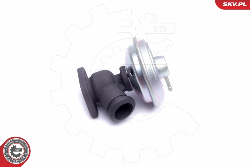 EGR Valve 14SKV203