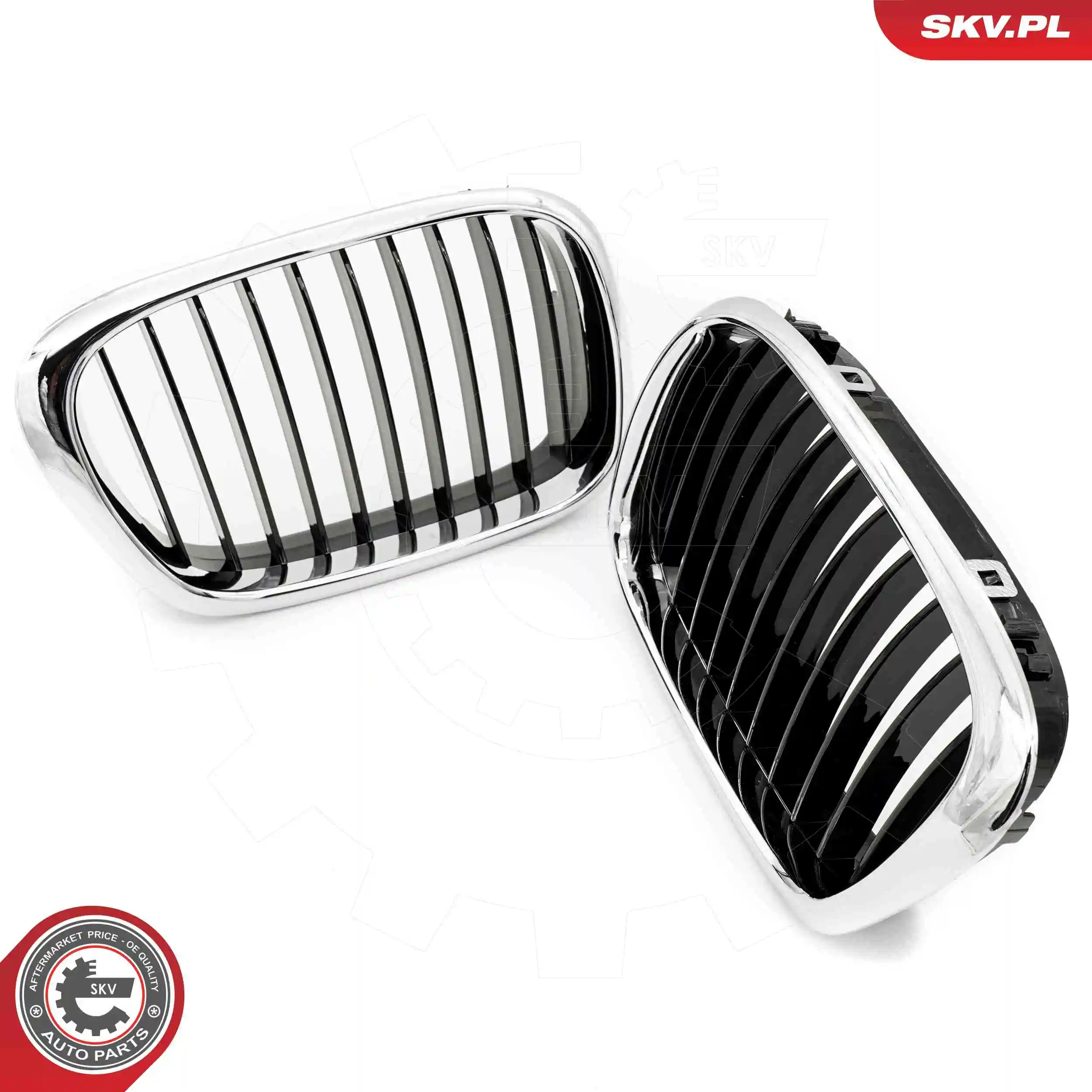 Radiator Grille 66SKV160