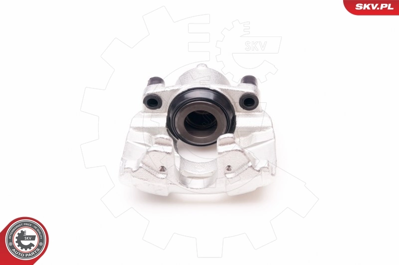 Brake Caliper 23SKV961
