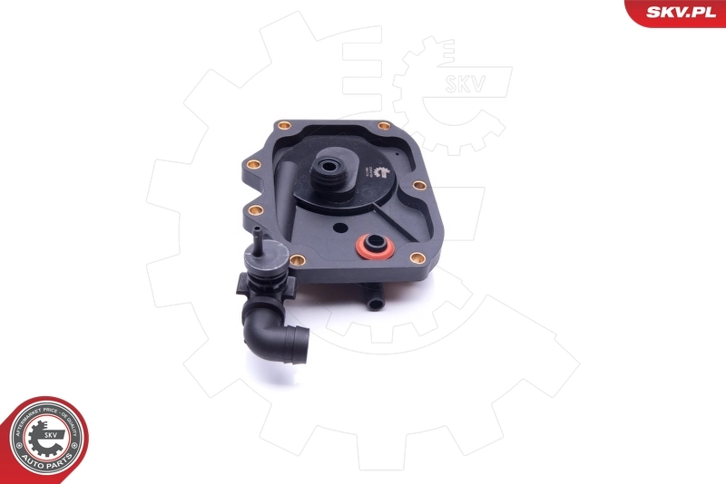 Repair Kit, crankcase ventilation 31SKV100