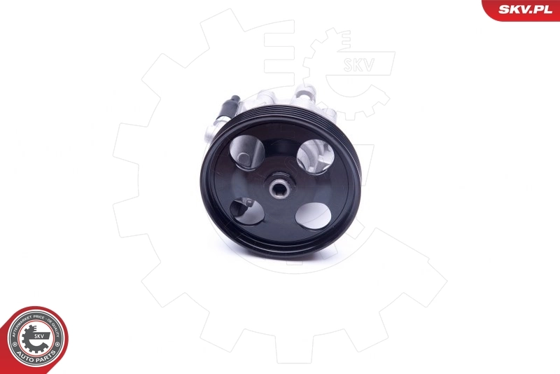 Hydraulic Pump, steering 10SKV287