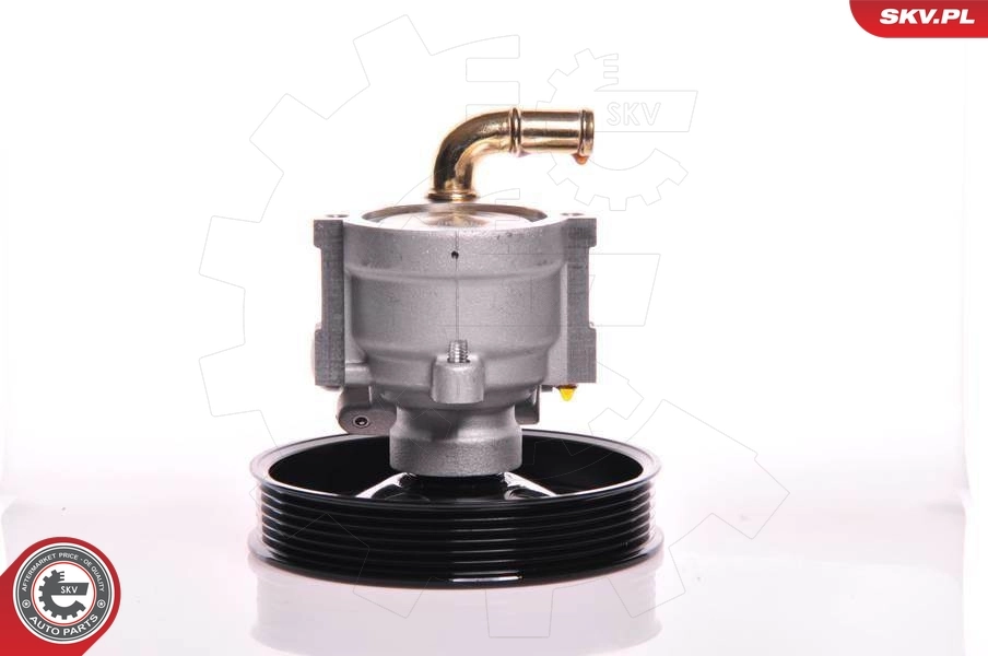 Hydraulic Pump, steering 10SKV164