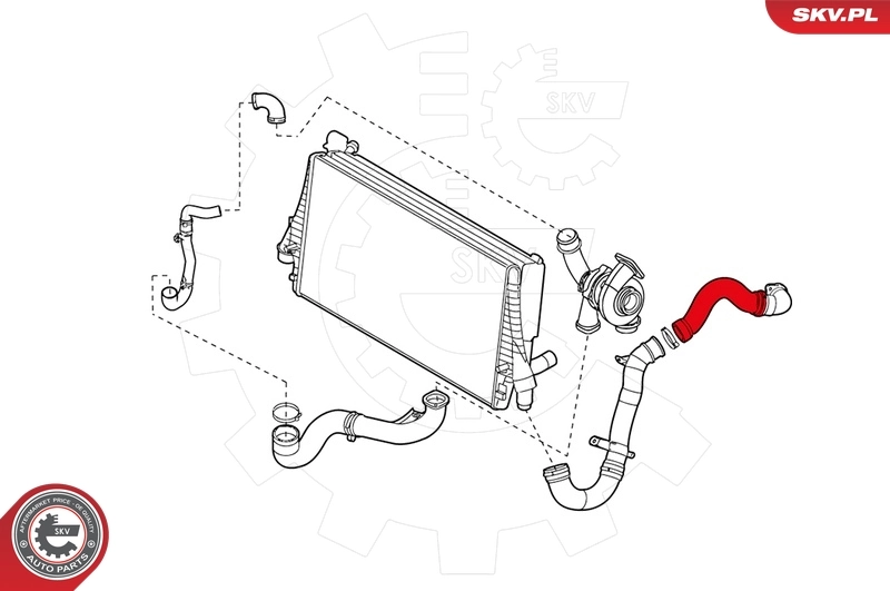 Charge Air Hose 24SKV223
