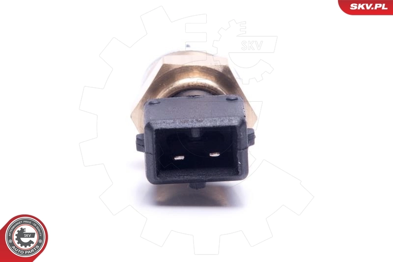 Sensor, intake air temperature 17SKV685