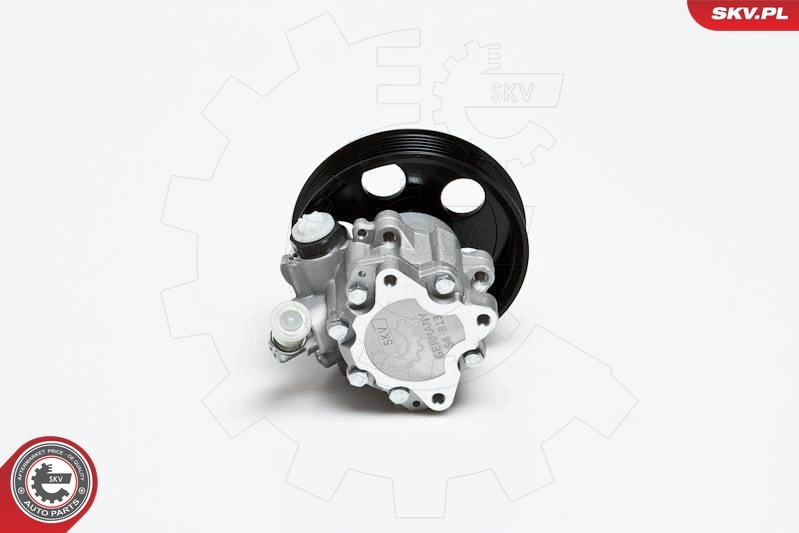 Hydraulic Pump, steering 10SKV022