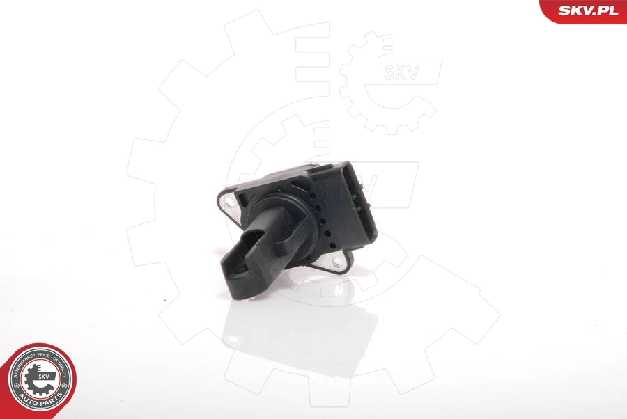 Medidor de la masa de aire 07SKV102