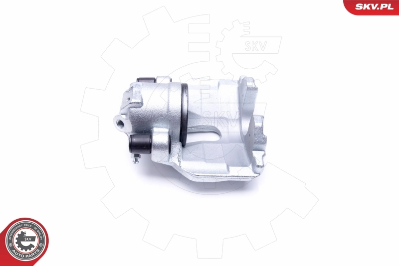 Brake Caliper 46SKV051