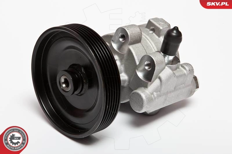 Hydraulic Pump, steering 10SKV068