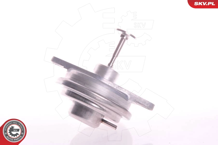 EGR Valve 14SKV022