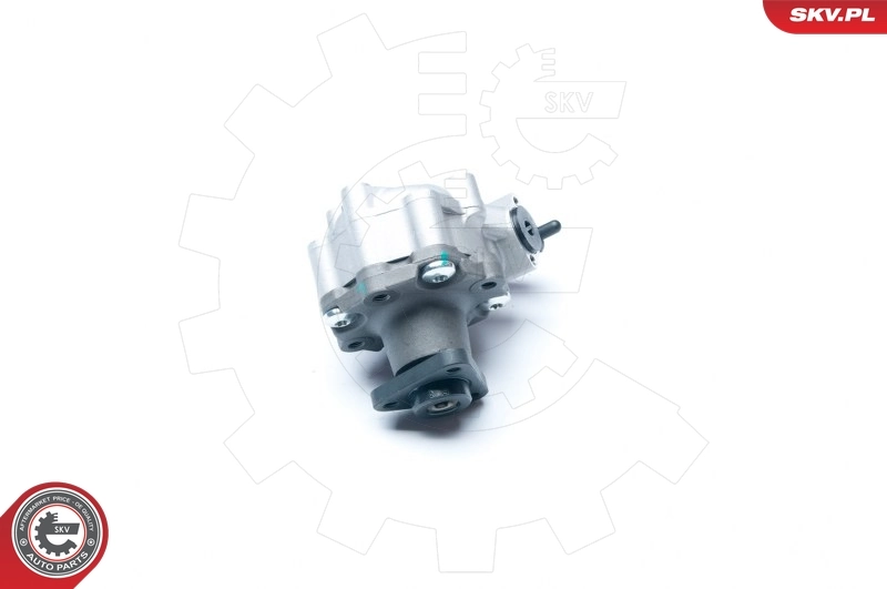 Hydraulic Pump, steering 10SKV186