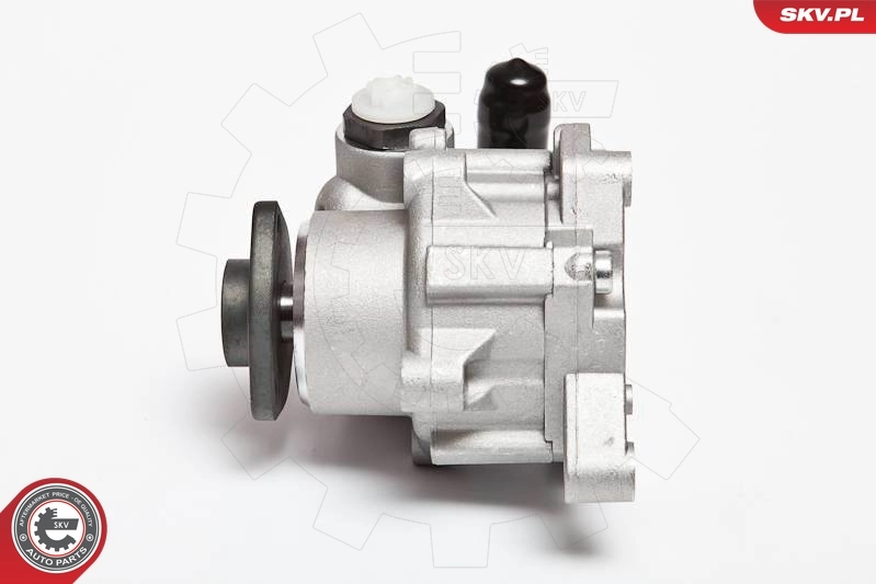 Hydraulic Pump, steering 10SKV043