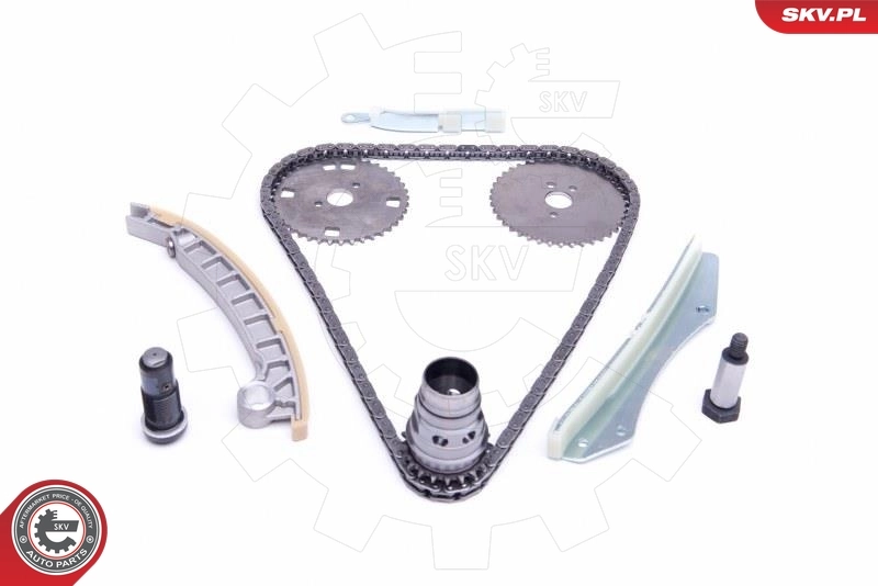 Timing Chain Kit 21SKV141