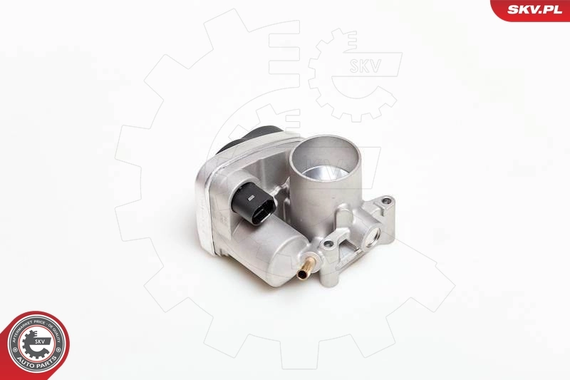 Throttle Body 12SKV029