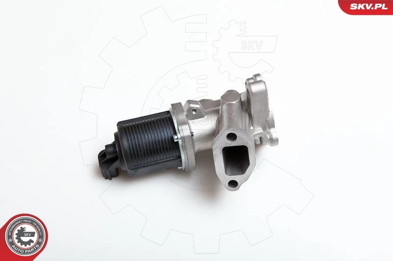 EGR Valve 14SKV040