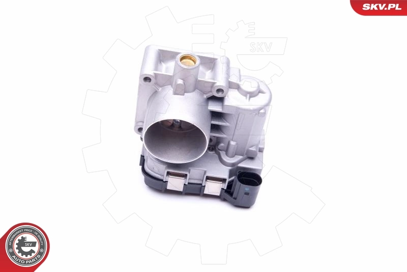 Throttle Body 12SKV075