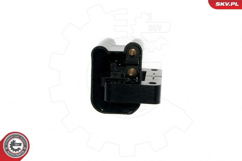 Ignition Coil 03SKV147