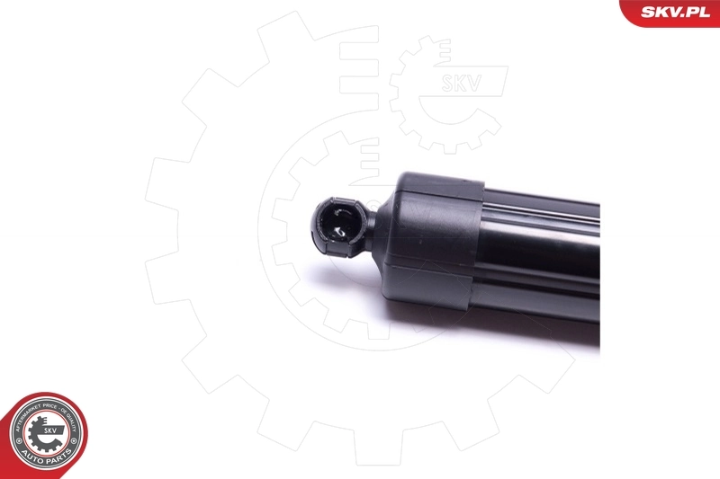 ESEN SKV 52SKV916 Electric Motor, tailgate