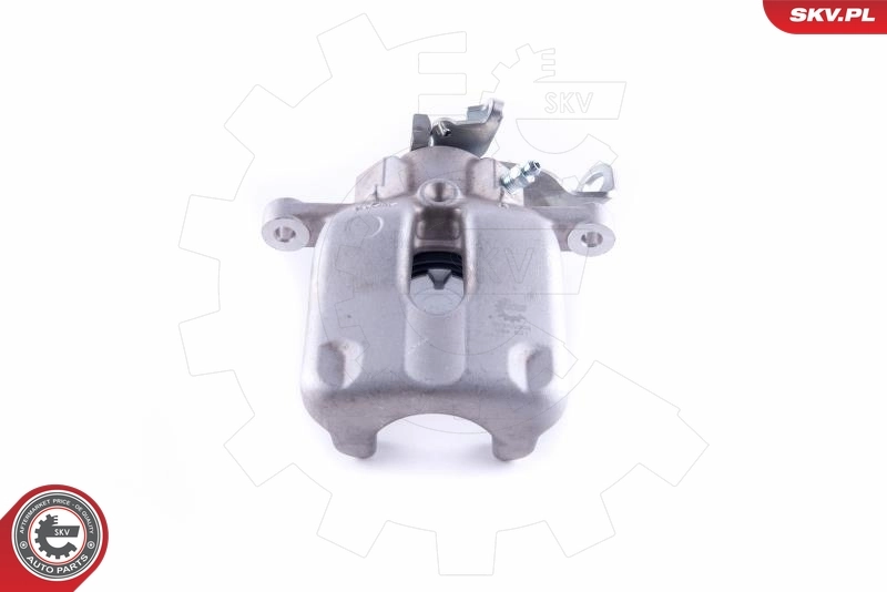 Brake Caliper 55SKV204