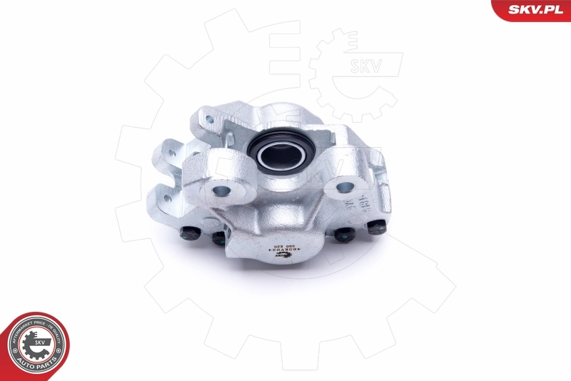 Brake Caliper 46SKV024