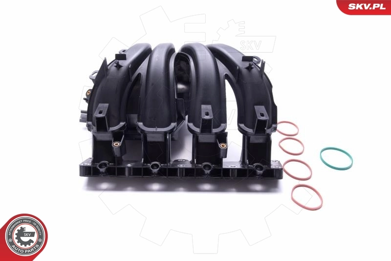 Intake Manifold Module 49SKV042
