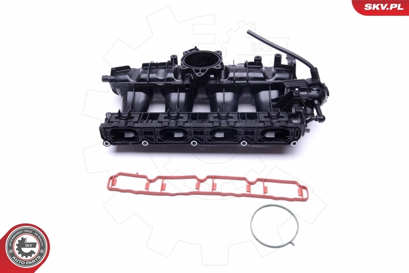Intake Manifold Module 49SKV010