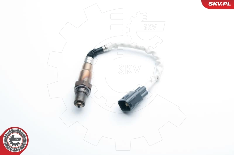 Oxygen Sensor 09SKV993