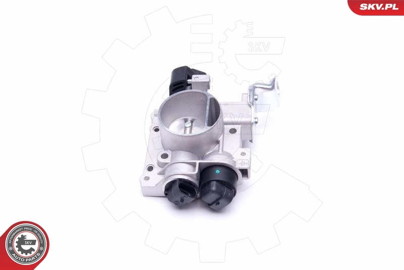 Throttle Body 12SKV081
