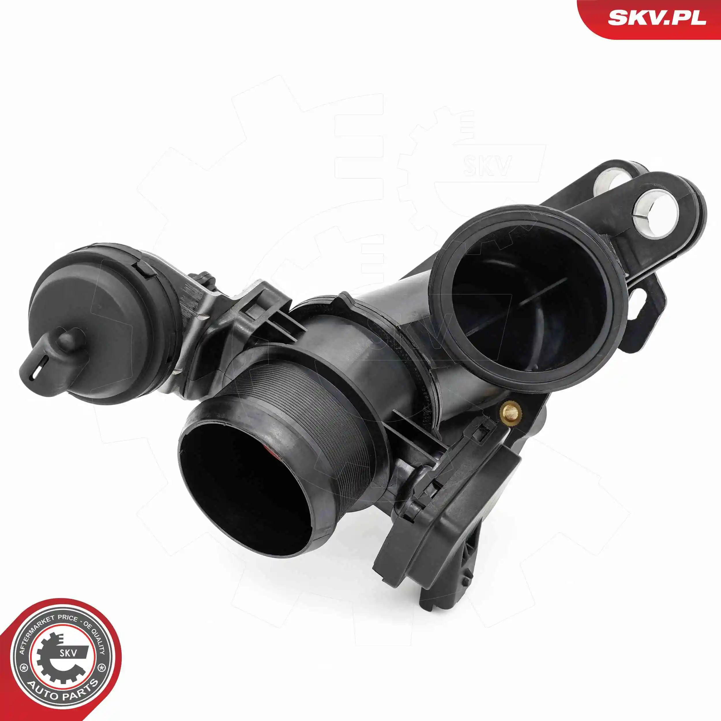 ESEN SKV 12SKV149 Throttle Body