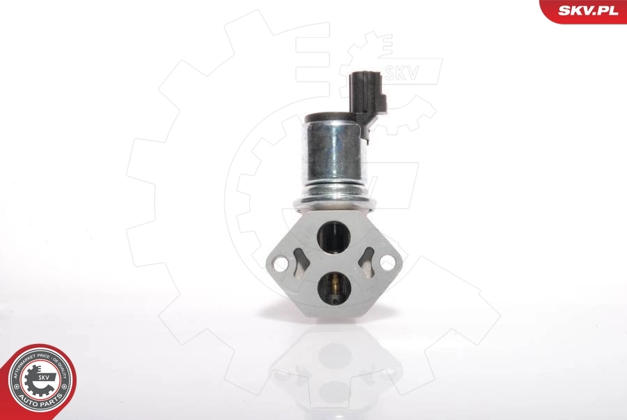 Idle Control Valve, air supply 08SKV234