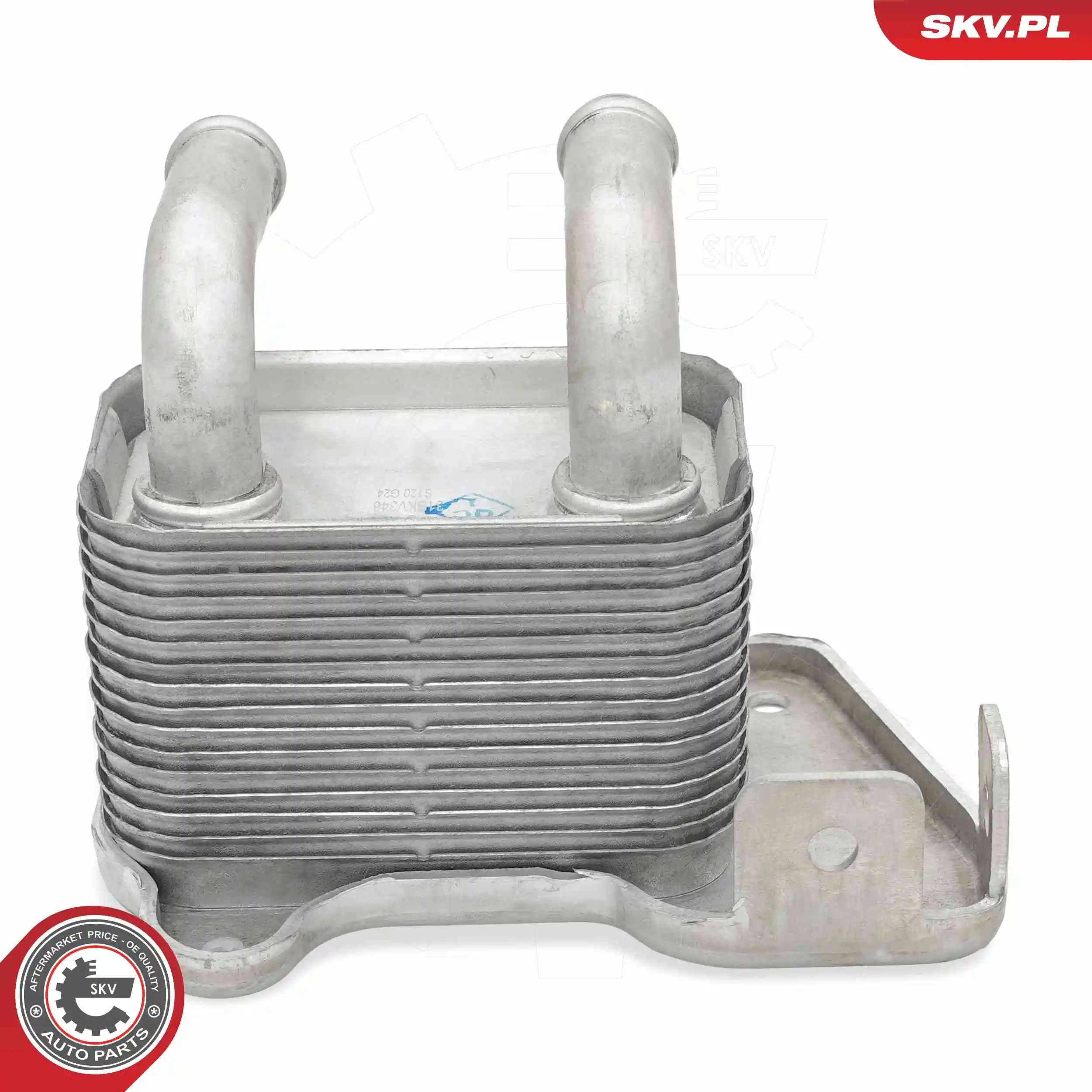 Oil Cooler, engine oil 31SKV346