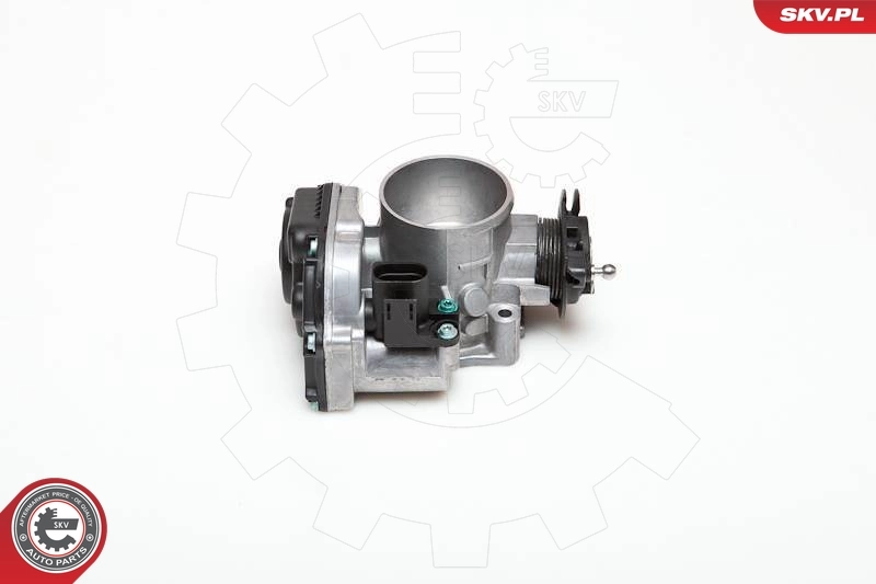 Throttle Body 12SKV007