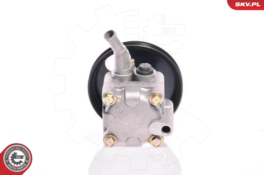 Hydraulic Pump, steering 10SKV127