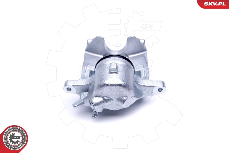 Brake Caliper 50SKV322