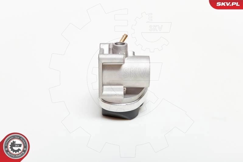 Throttle Body 12SKV029