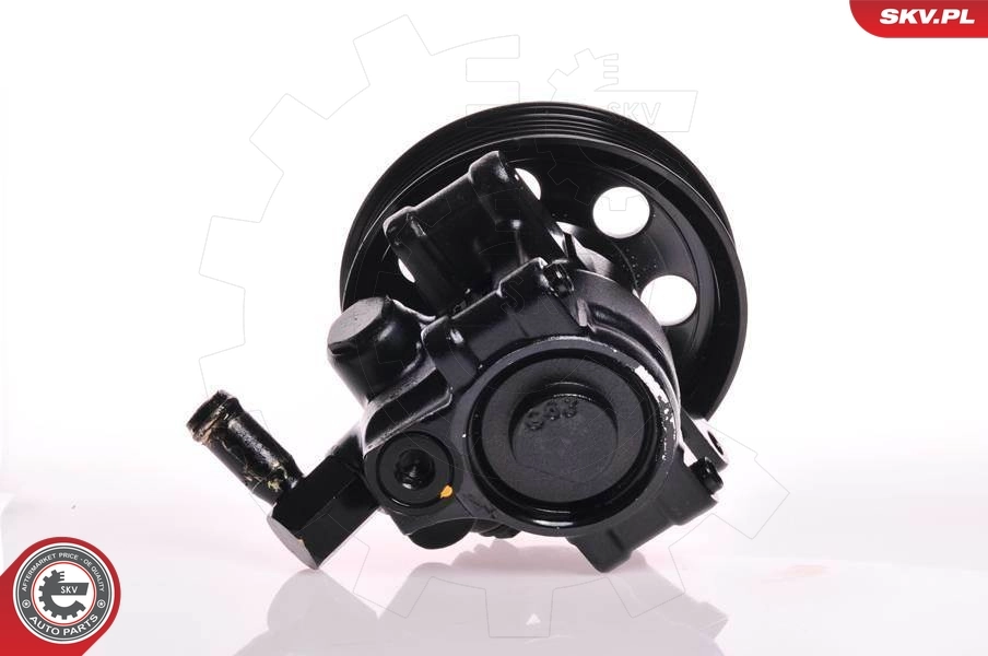 Hydraulic Pump, steering 10SKV019