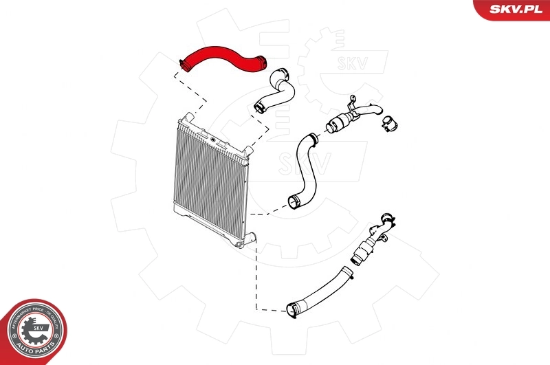 Charge Air Hose 24SKV668