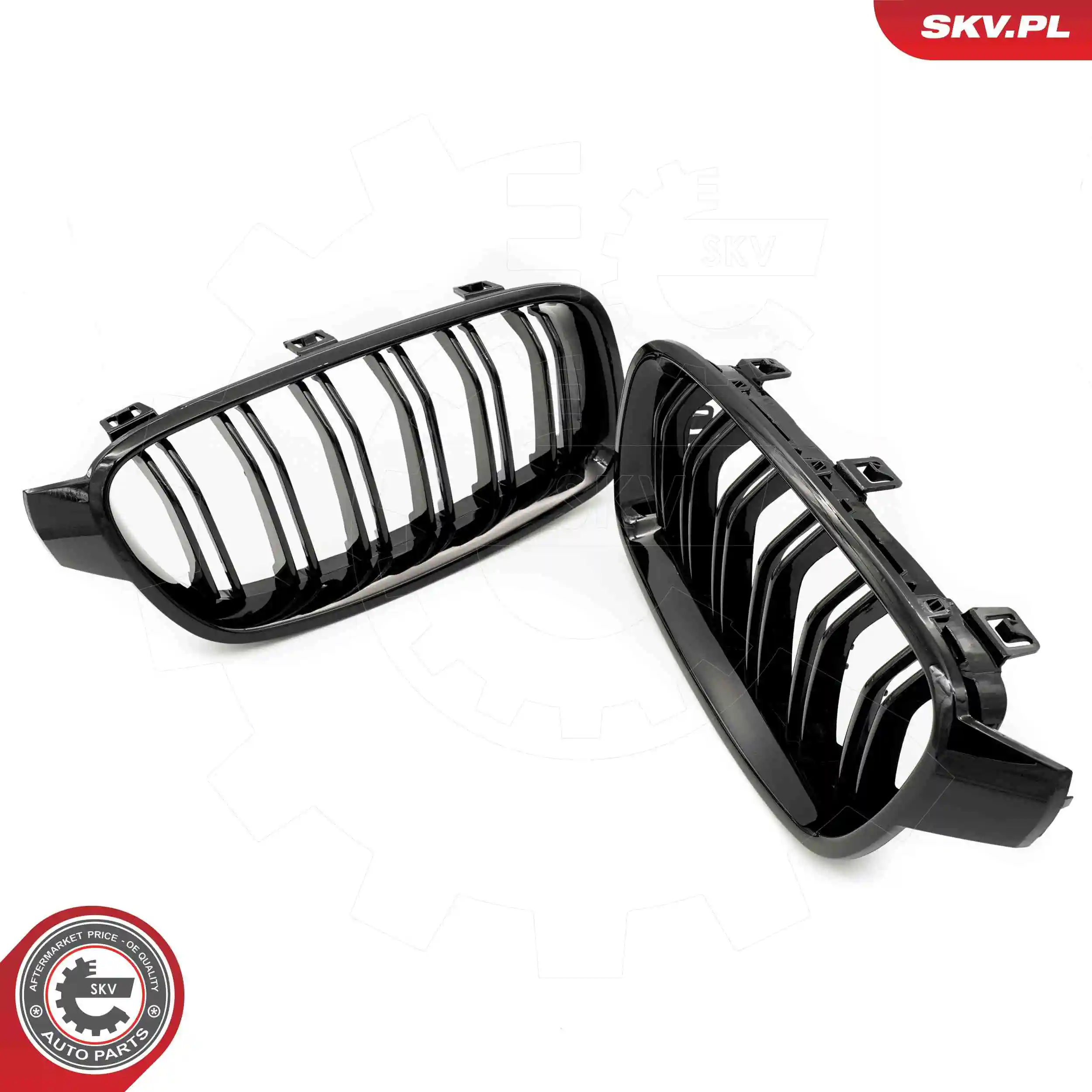Radiator Grille 66SKV123