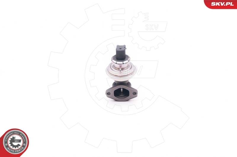 ESEN SKV 14SKV129 EGR Valve