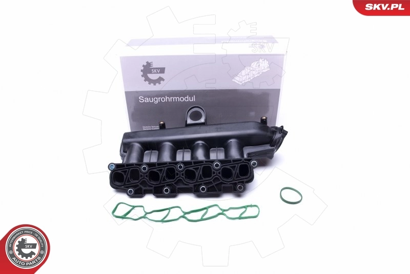Intake Manifold Module 49SKV038