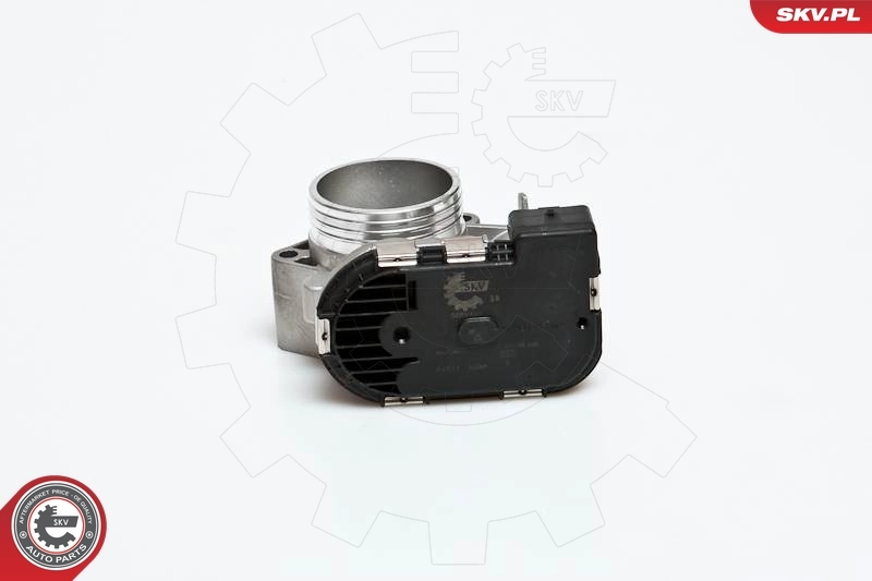 Throttle Body 12SKV001