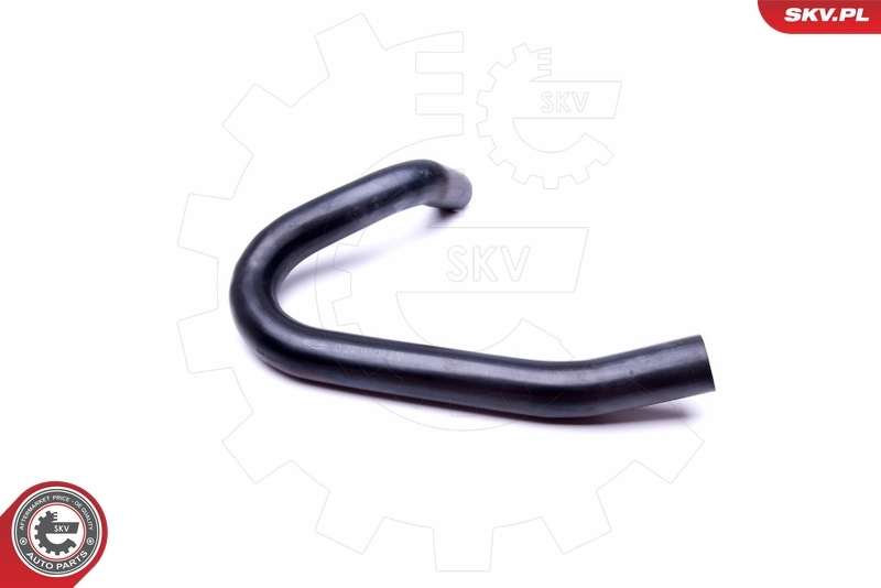 Radiator Hose 43SKV878