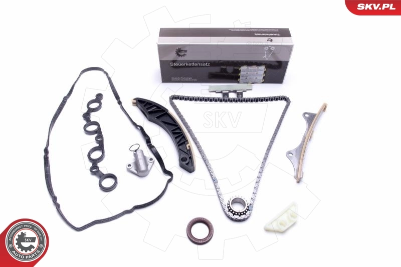 Timing Chain Kit 21SKV181