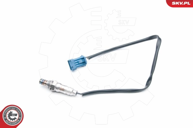 Oxygen Sensor 09SKV703