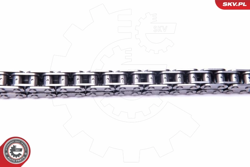 Timing Chain Kit 21SKV165