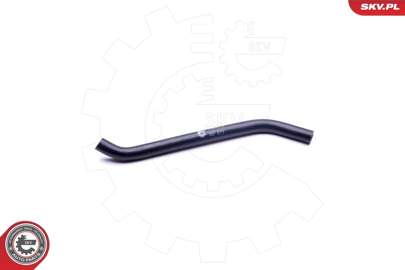 Hose, crankcase ventilation 31SKV119