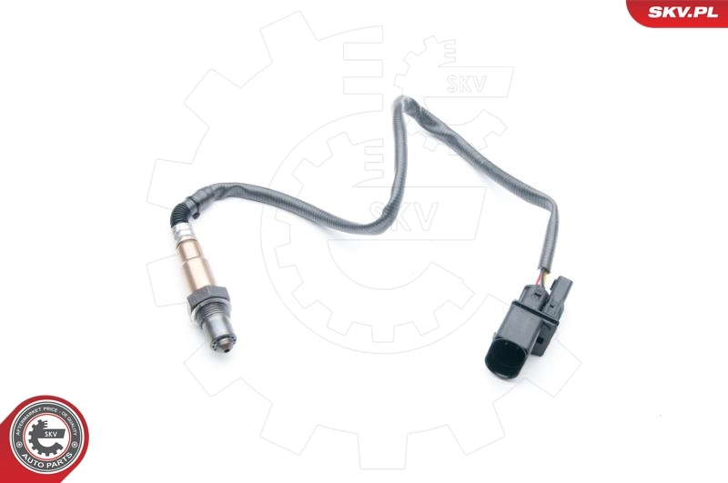 Oxygen Sensor 09SKV859