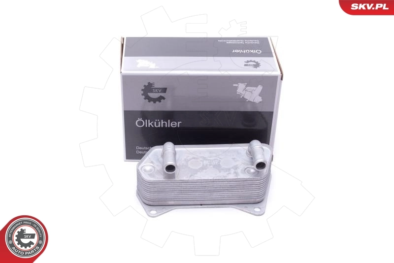 Oil Cooler, engine oil 31SKV207