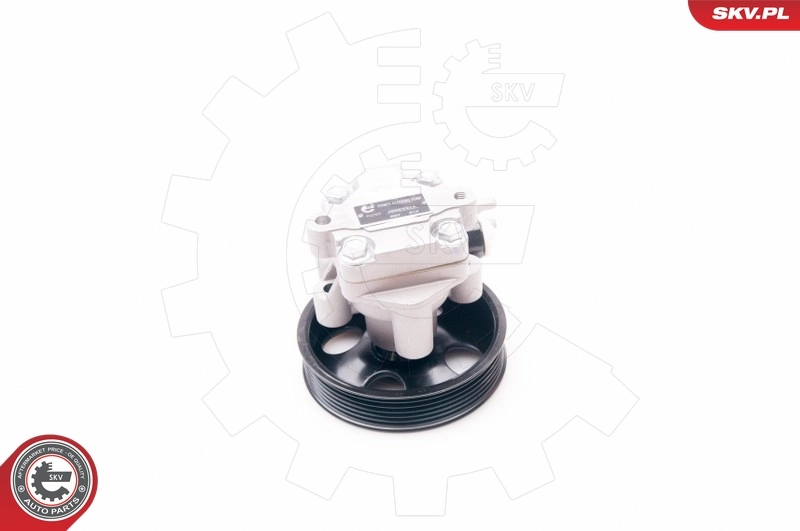 Hydraulic Pump, steering 10SKV214