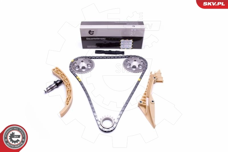 Timing Chain Kit 21SKV183